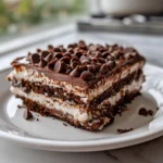 Chocolate Lasagna Slice