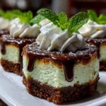 Home cook, taken with iPhone 15 Pro. Close-up slight angle of fresh Andes Mint Mini Cheesecakes on white plate. Rich inviting --ar 4:3 --style raw --s 230